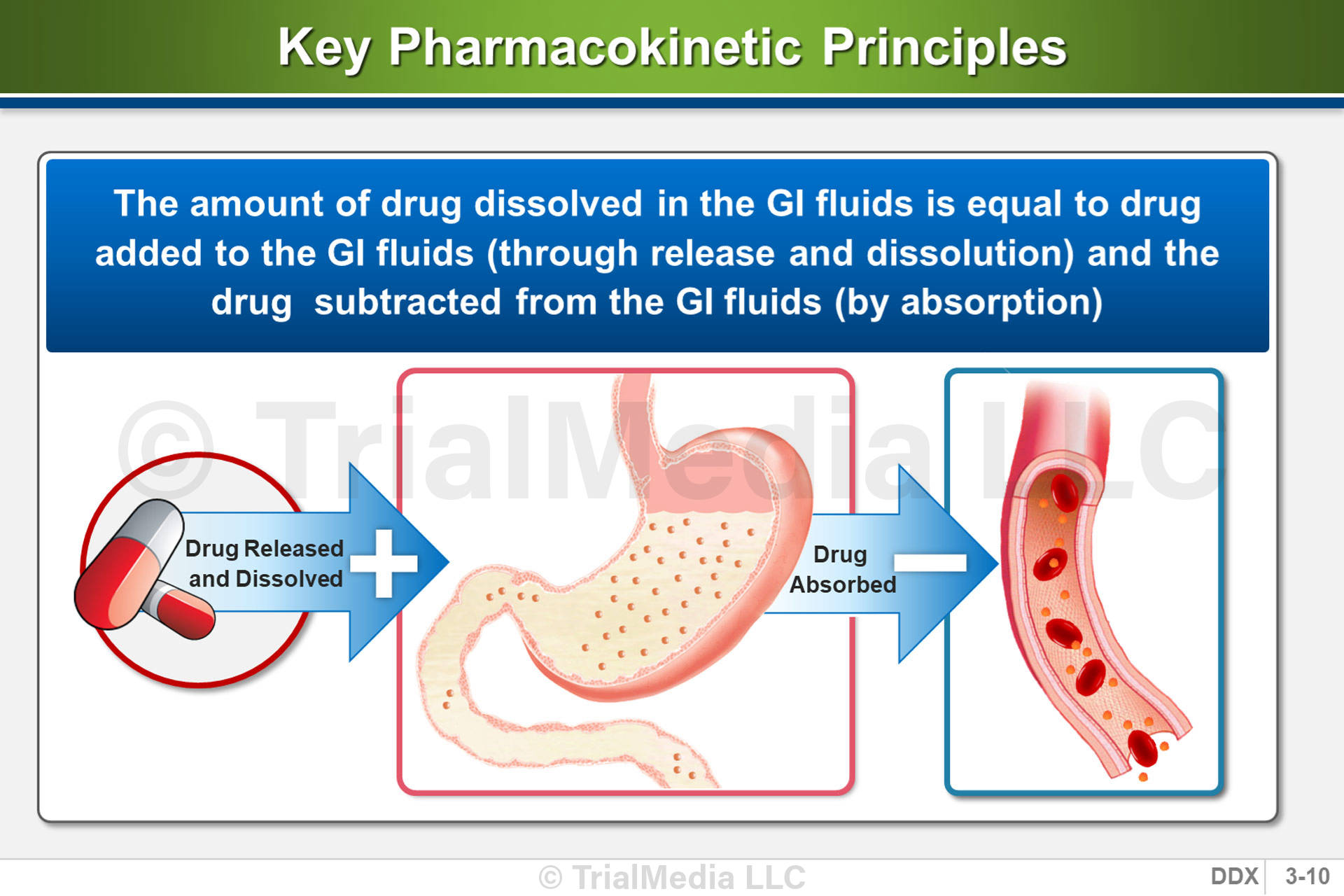 Pharmacokinetic Principles