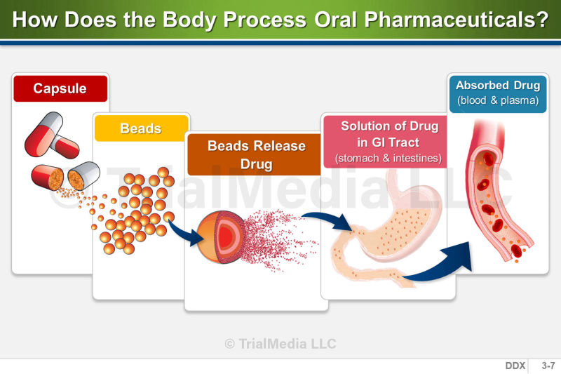 Proccess Oral Pharmacokinetic